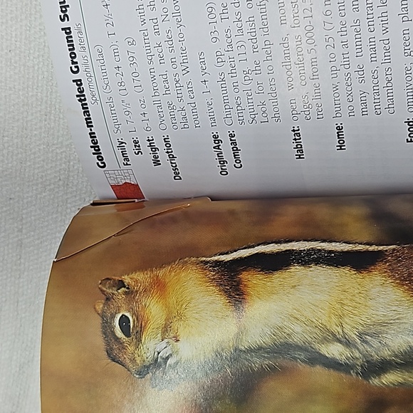 3/$10  Mammals of Colorado Field Guide - Picture 8 of 10